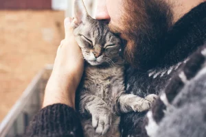 Choosing end-of-life care for pets